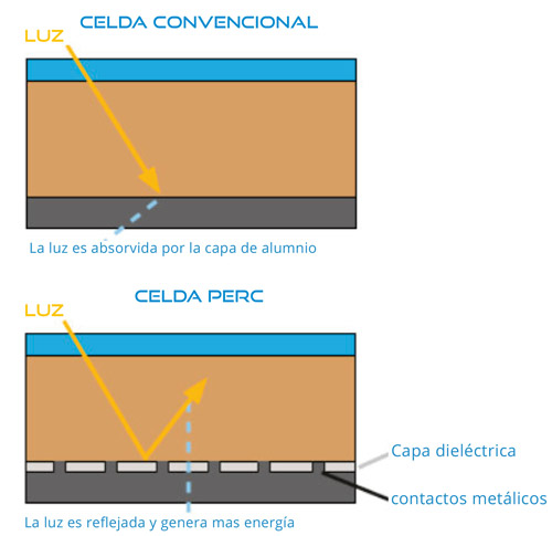 celda perc